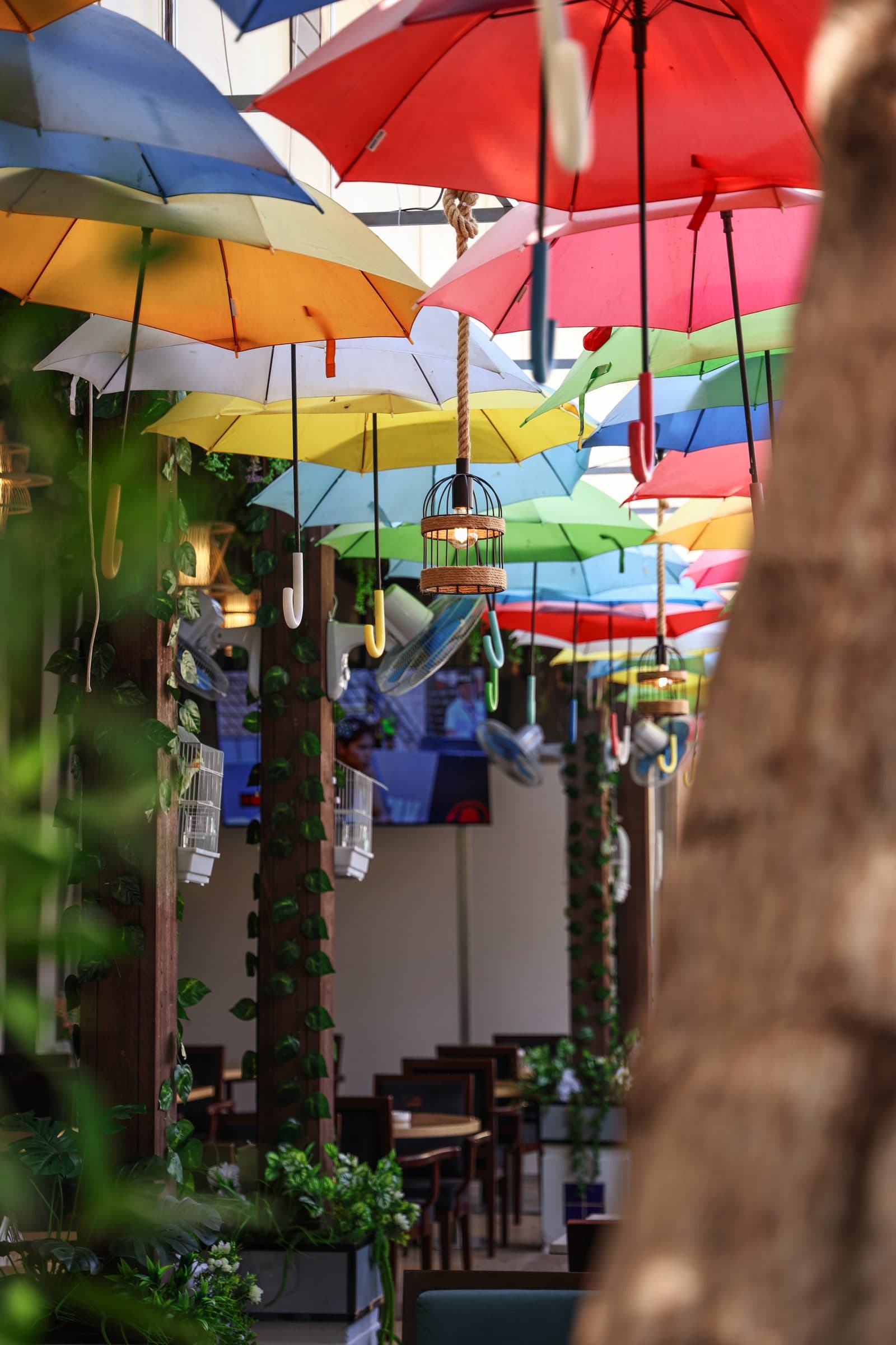 Tables set under the umbrella canopy on the outdoor terrace