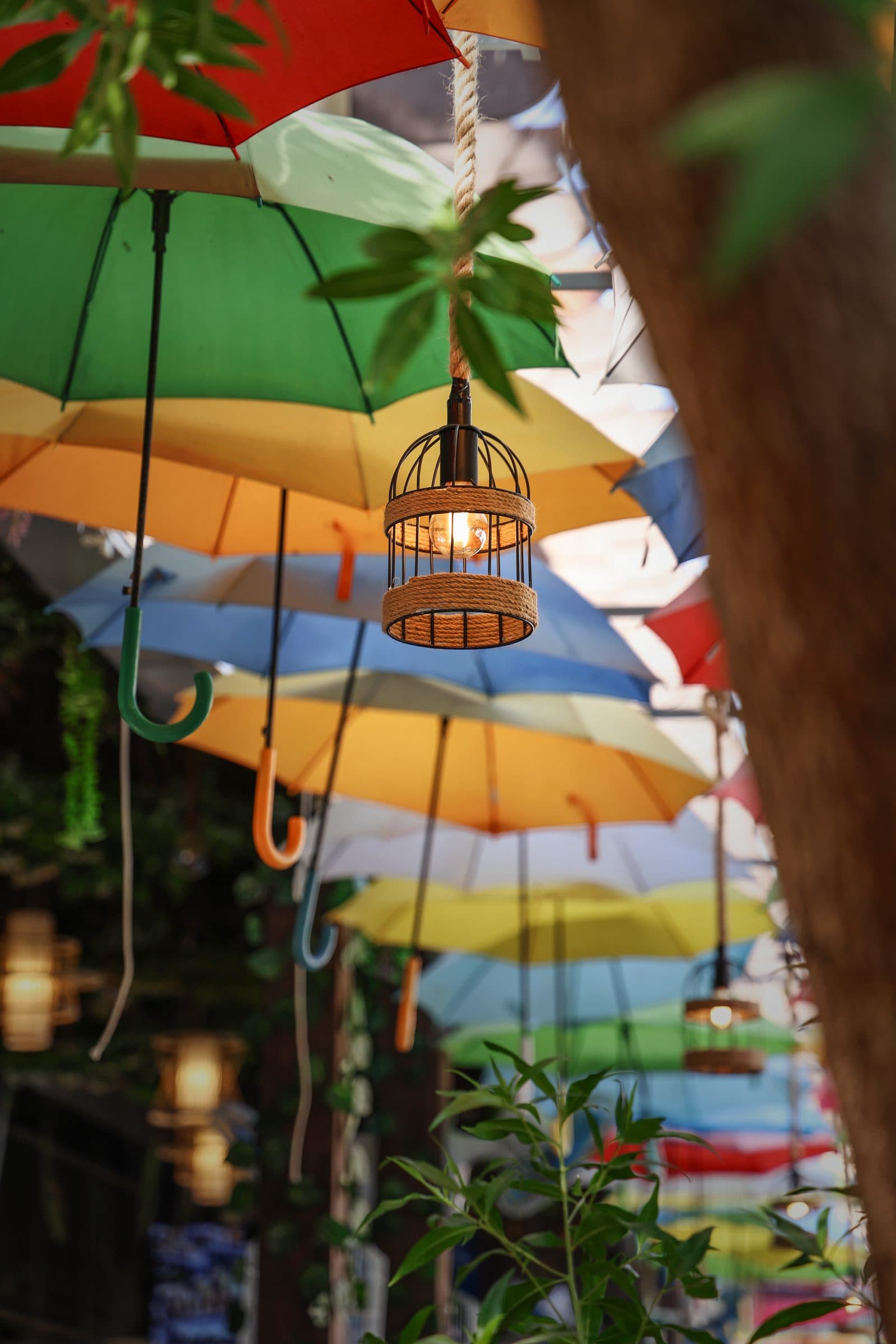 A caged lamp hanging beneath the coloured umbrellas of the terrace canopy