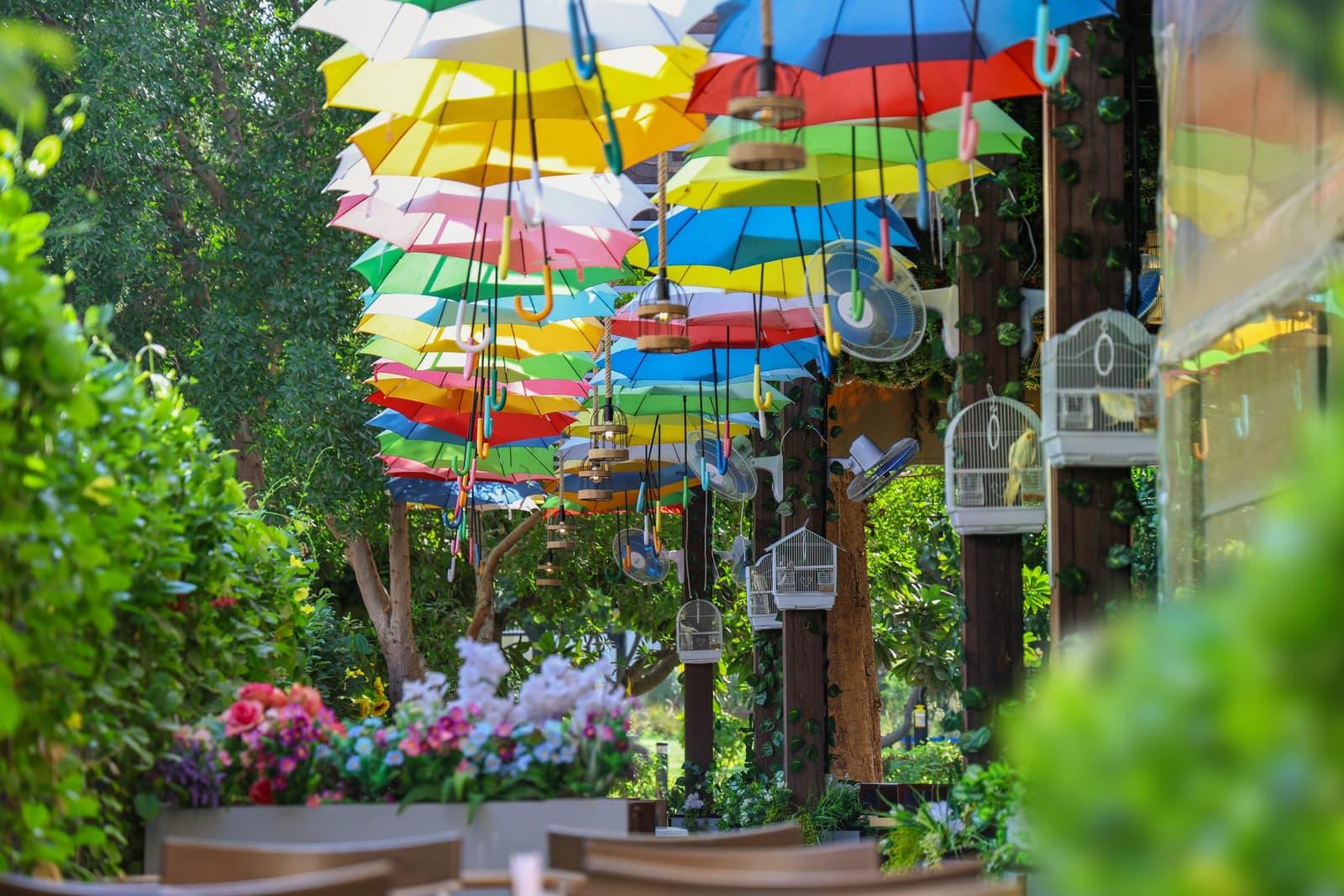 The outdoor terrace at Jazeel, shaded by a canopy of coloured umbrellas, with trees, flowers and hanging birdcages